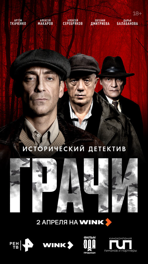 Грачи - постер
